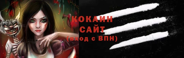 не бодяженный Бородино