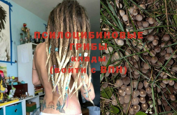 ГАЛЛЮЦИНОГЕННЫЕ ГРИБЫ Бугульма